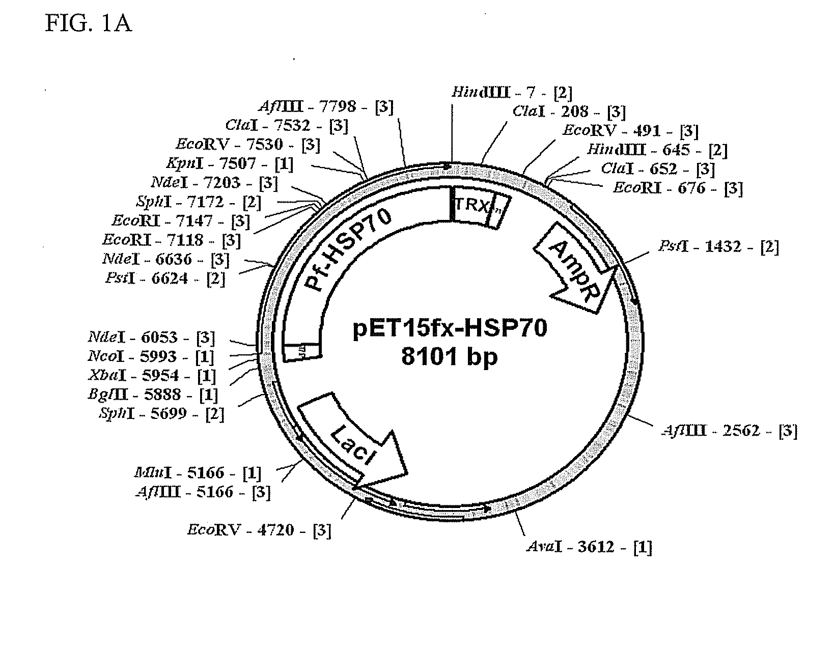 Immunoassay for plasmodium falciparum and assay device used therefor