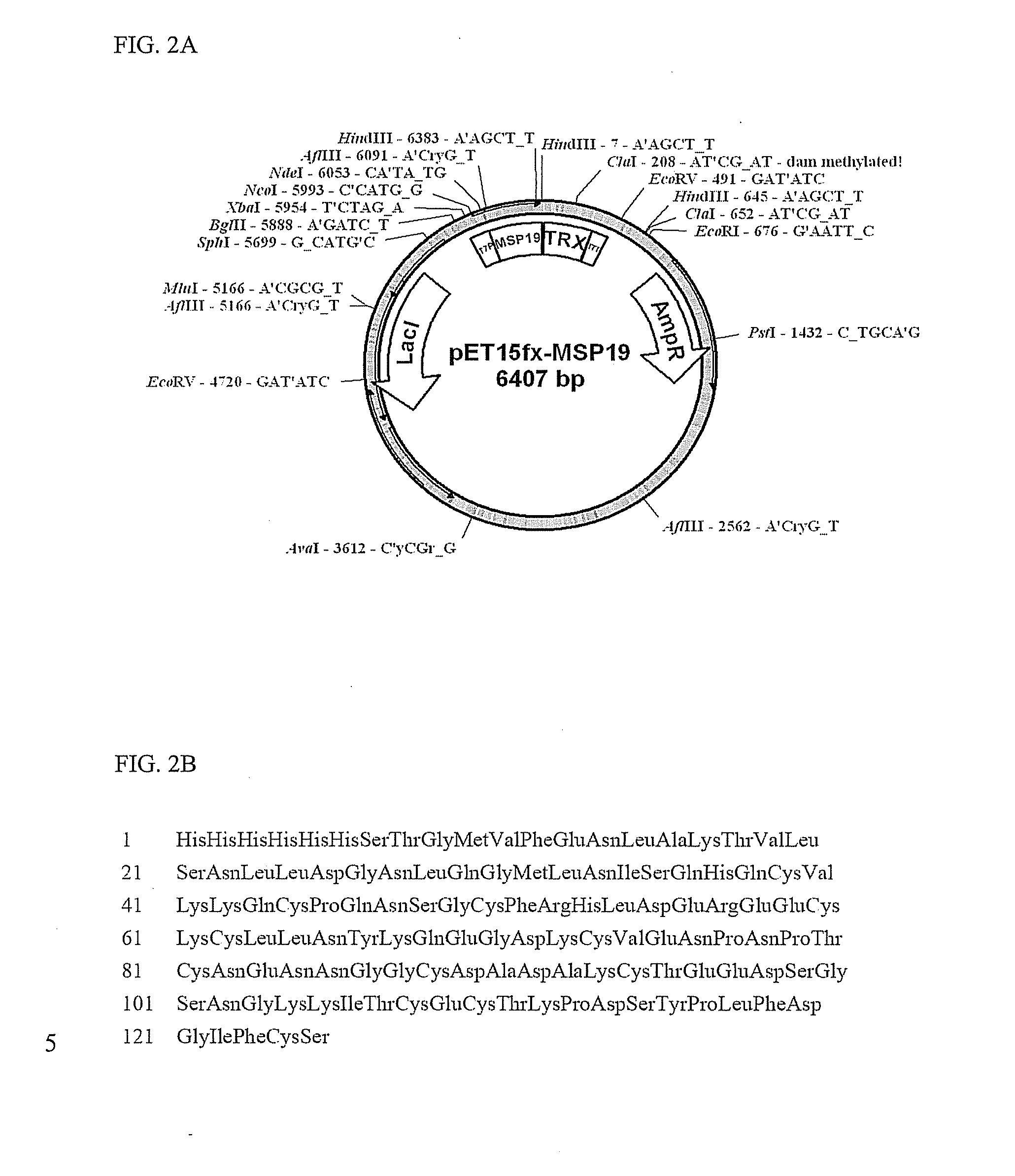 Immunoassay for plasmodium falciparum and assay device used therefor