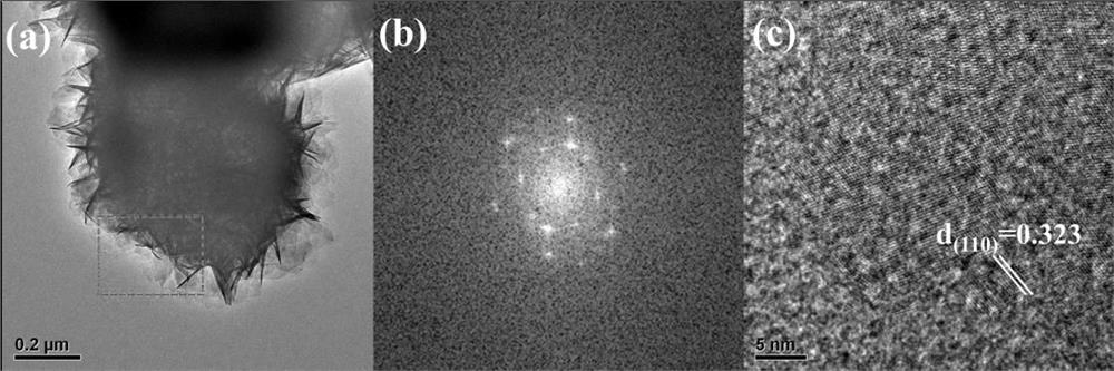 Method for preparing sulfide semiconductor/metal nanoparticles based on sulfur vacancy defect and application of sulfide semiconductor/metal nanoparticles