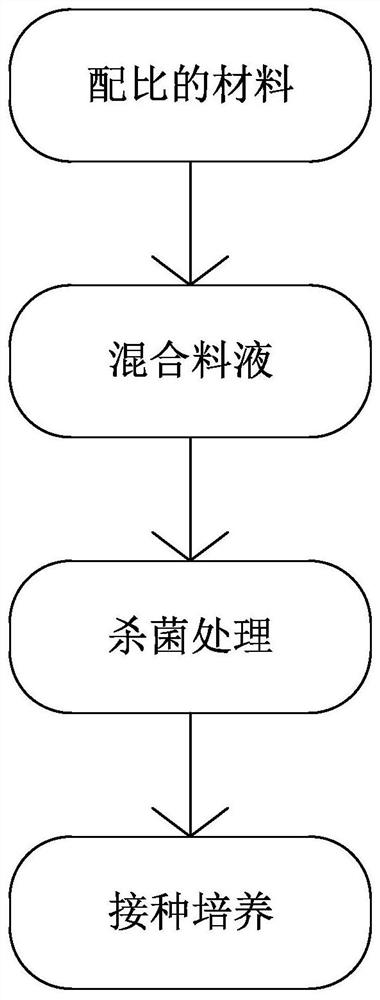 Culture method of high-protein pleurotus eryngii liquid strain