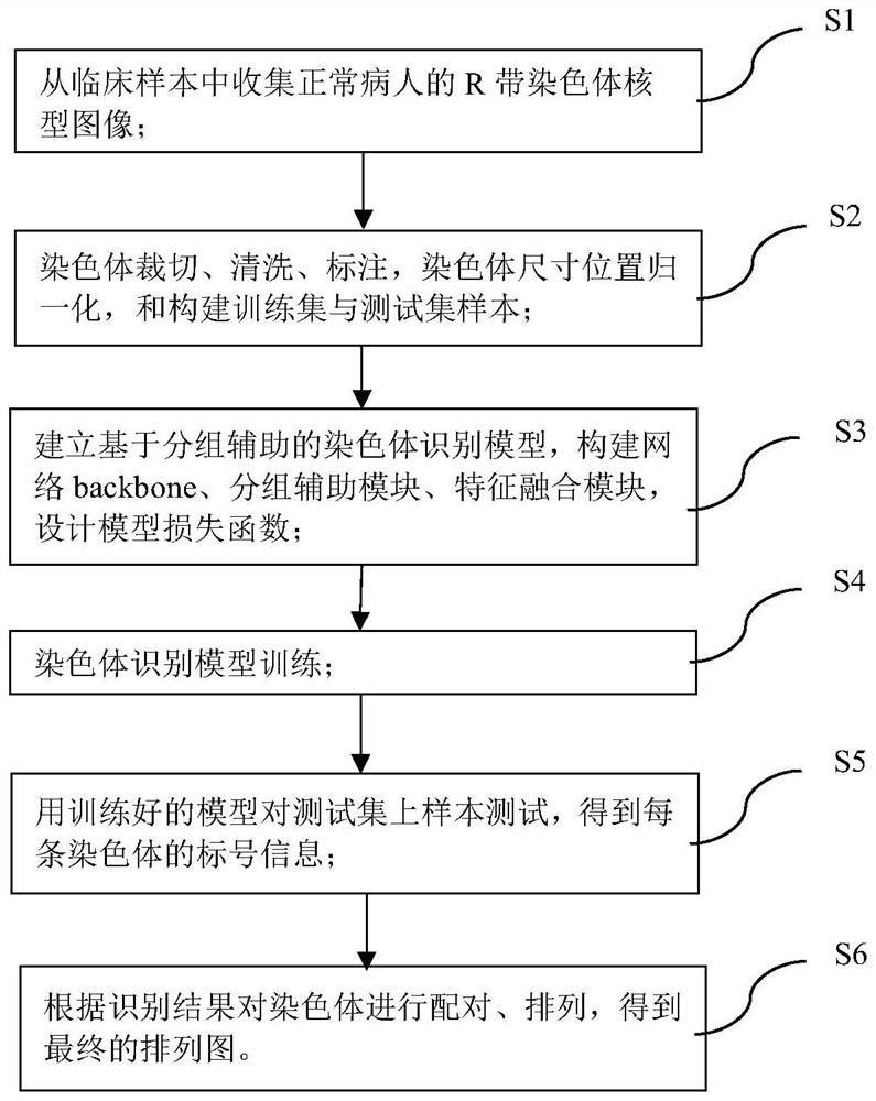 R-band chromosome karyotype image identification method and system based on grouping information assistance