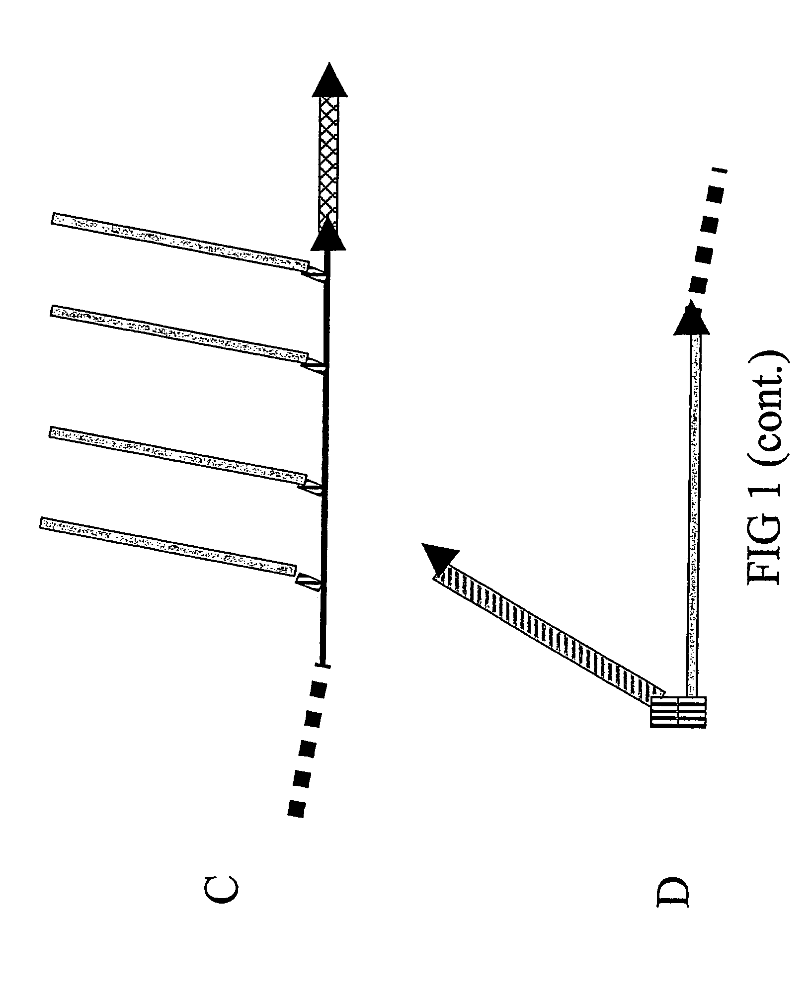 Composite peptide compounds for diagnosis and treatment of diseases caused by prion proteins