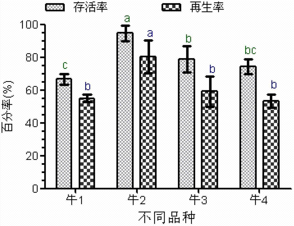 Cryopreservation method for in vitro shoot tips of petunia hybrida