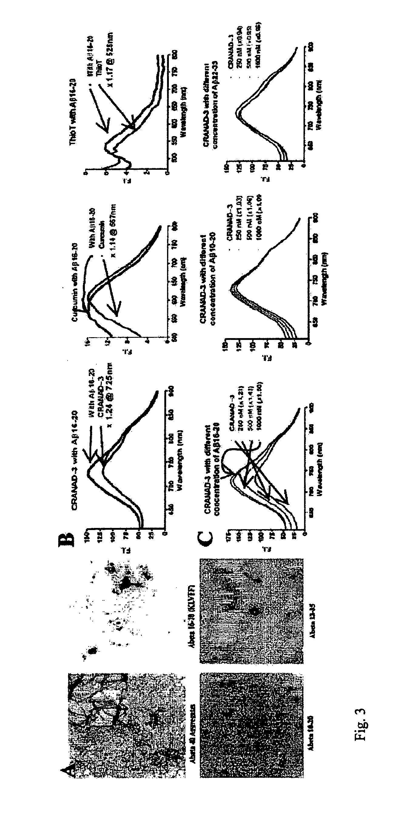 Methods and System for Detecting Soluble Amyloid-Beta