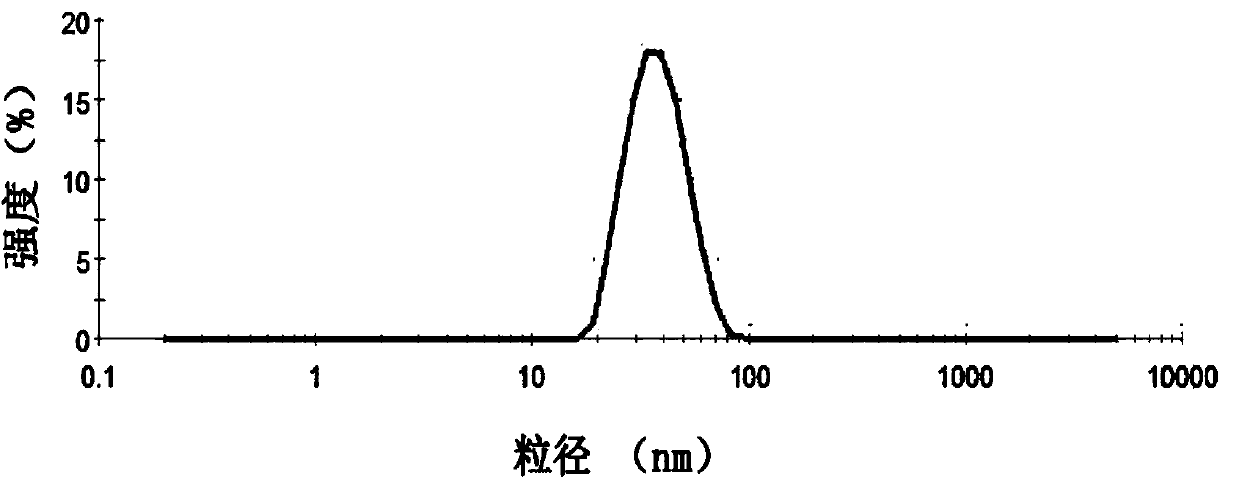 Irinotecan hydrochloride composite phospholipid composition, preparation method and applications thereof