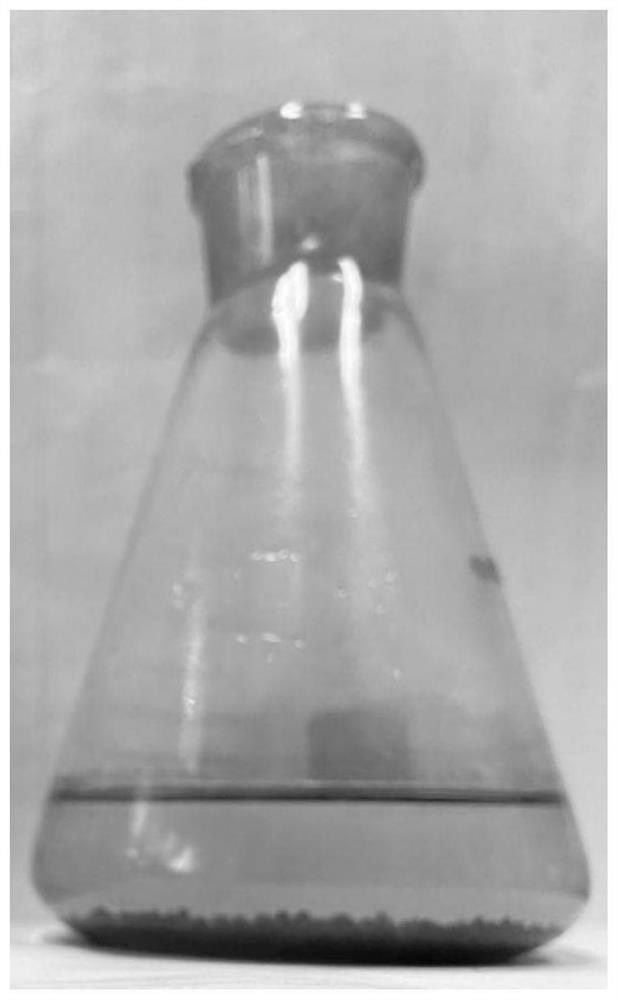 Method for preparing uranium carbide ceramic microspheres by taking carbon nanotubes as carbon source