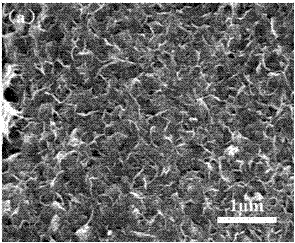 Electrocatalyst for efficiently decomposing water into hydrogen and oxygen and preparation method of electrocatalyst