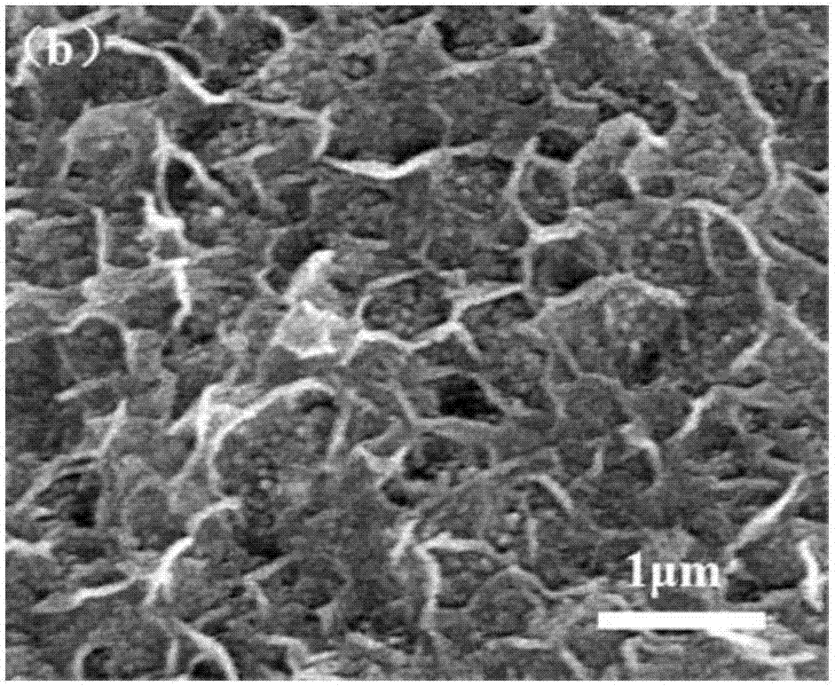 Electrocatalyst for efficiently decomposing water into hydrogen and oxygen and preparation method of electrocatalyst