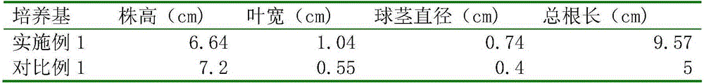 Single-step seedling culture method for pleione bulbocodioides through tissue culture