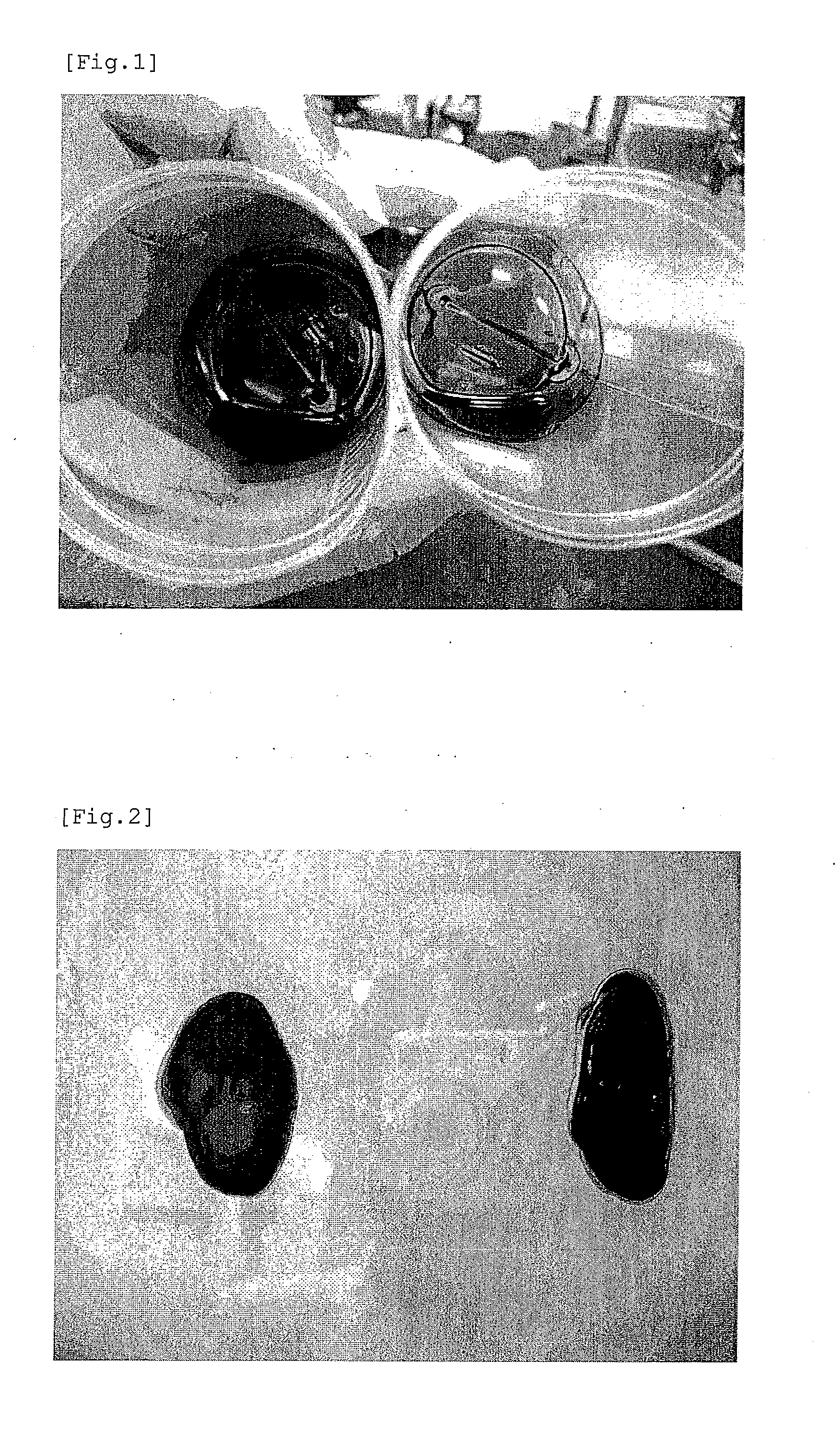 Conductive Polymer Composition and Process for Preparing the Same