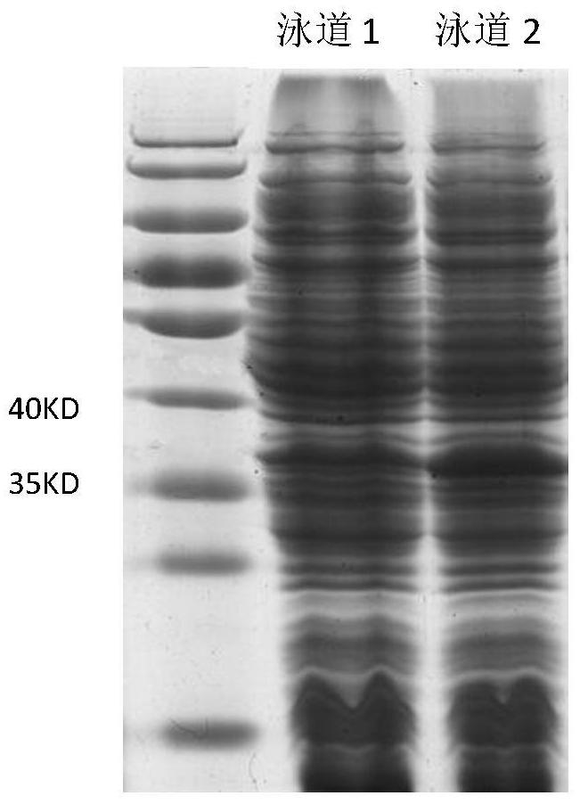 A method for rationally designed enzymes to regenerate ATP