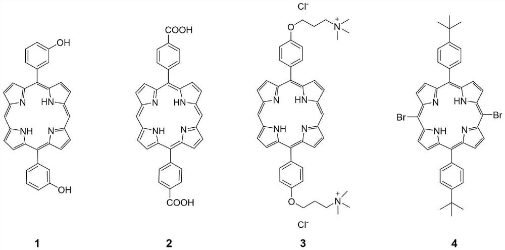 Novel tetrapyrrole derivative and application thereof