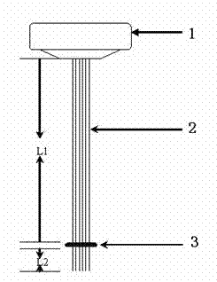 Rat primary auditory cortex microelectrode array implantation fixation operation method