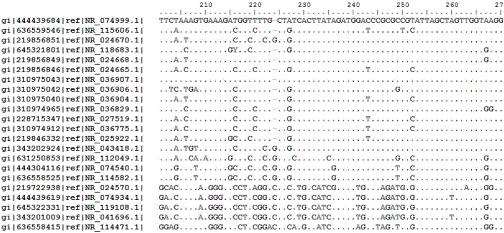 Bacterial nucleic acid sequencing identification method based on DNA bar code