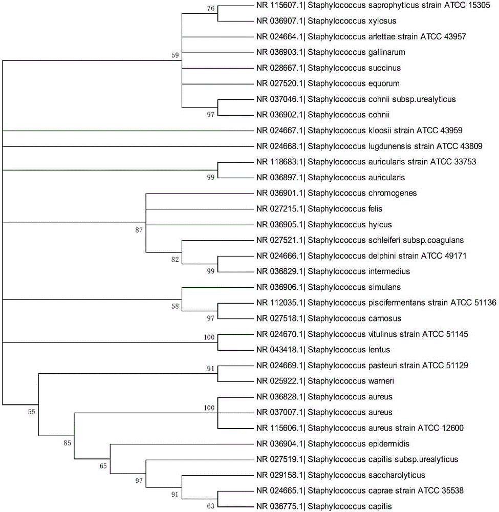 Bacterial nucleic acid sequencing identification method based on DNA bar code