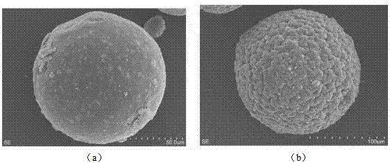 Anionic polymer grafted chitosan magnetic composite microsphere and preparation method and application