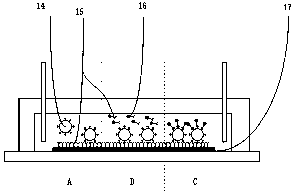 Novel SPR sensor combined with fluorescence imaging