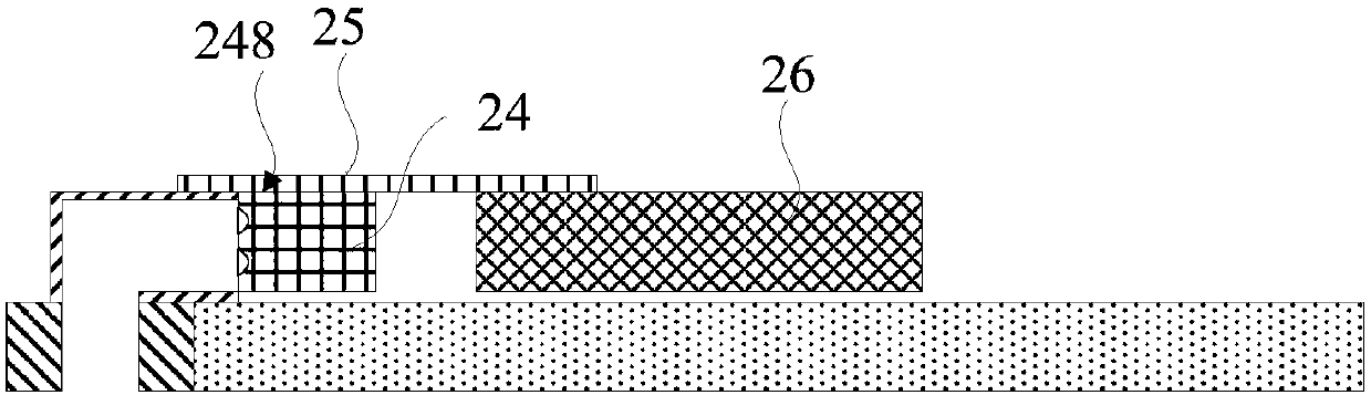 Display screen component and terminal