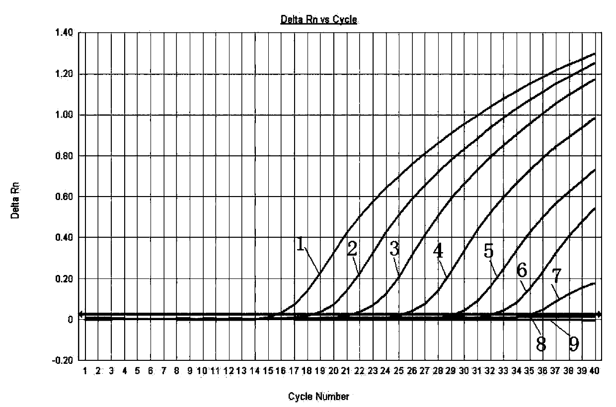 Reagent, detection method and application for detection of African hog cholera virus