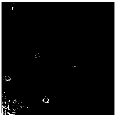 Ultrasensitive colorimetric sensing detection method for determining ochratoxin A