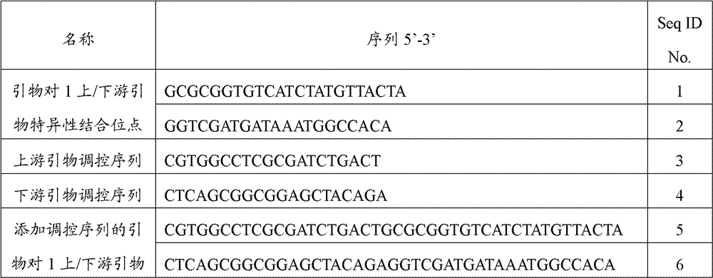 PCR-DHPLC (polymerase chain reaction-denaturing high performance liquid chromatography) detection primer and detection method for genetically modified maize strain BT11