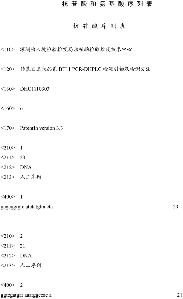 PCR-DHPLC (polymerase chain reaction-denaturing high performance liquid chromatography) detection primer and detection method for genetically modified maize strain BT11