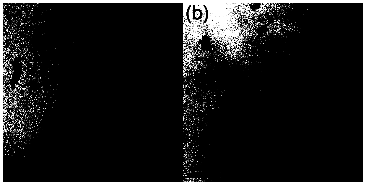 Graphene hybrid containing boron, nitrogen, cobalt, zinc and silicon and preparation method of graphene hybrid