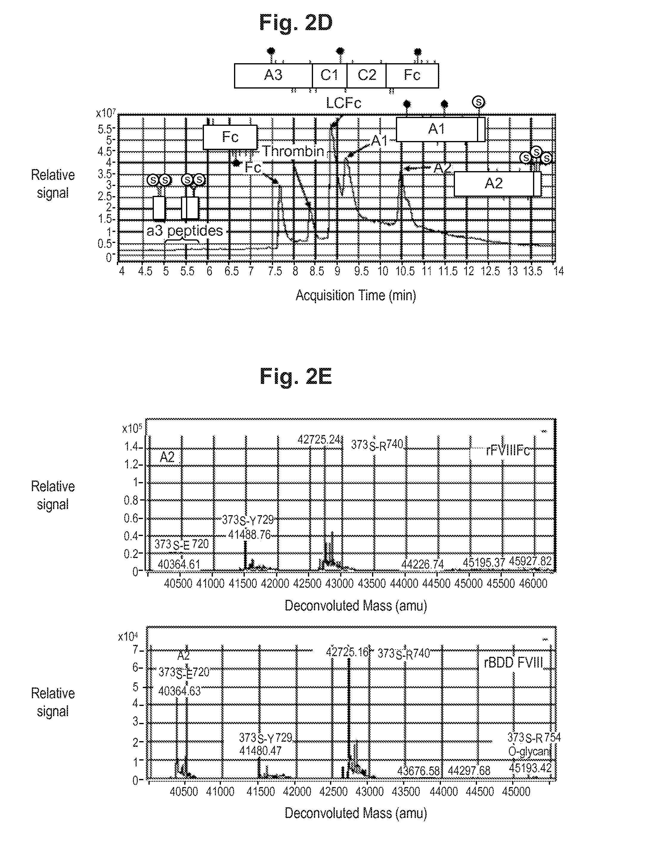 Factor viii chimeric and hybrid polypeptides, and methods of use thereof