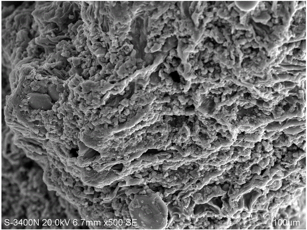 Dopamine-silkworm excrement composite carbon material high in specific surface area and preparation method and application thereof