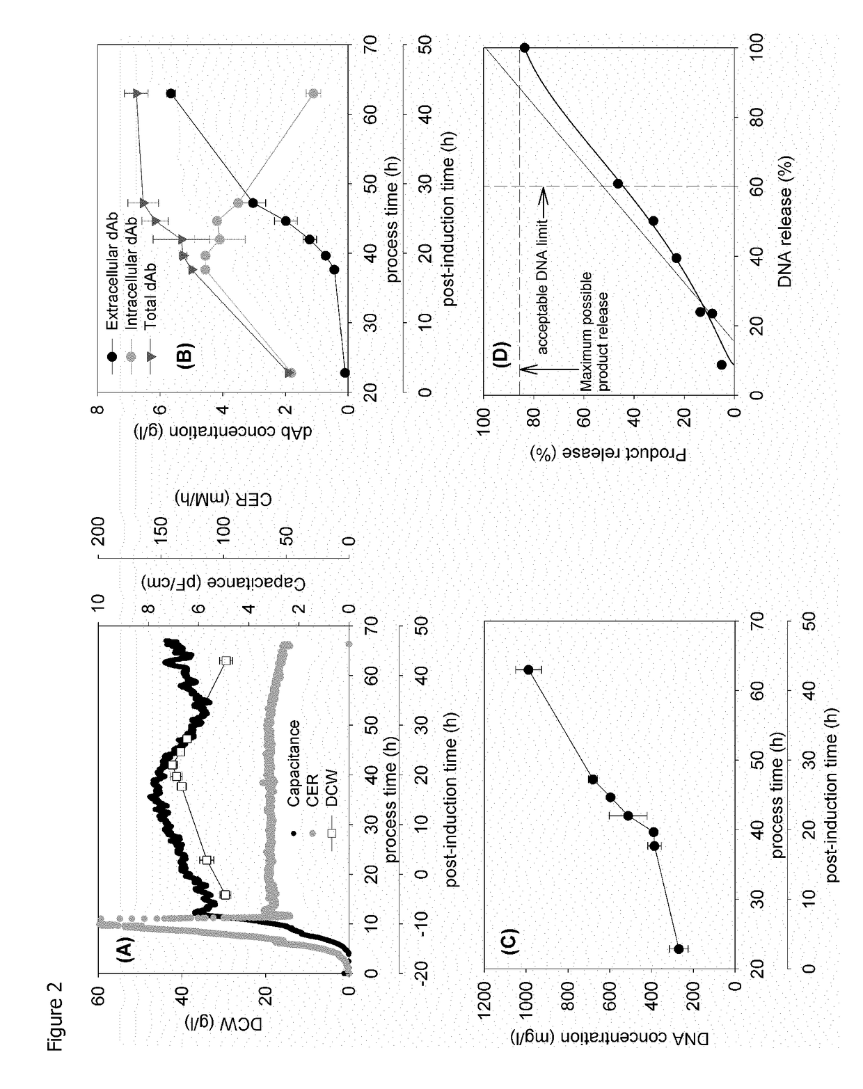 Method of Producing a Recombinant Protein