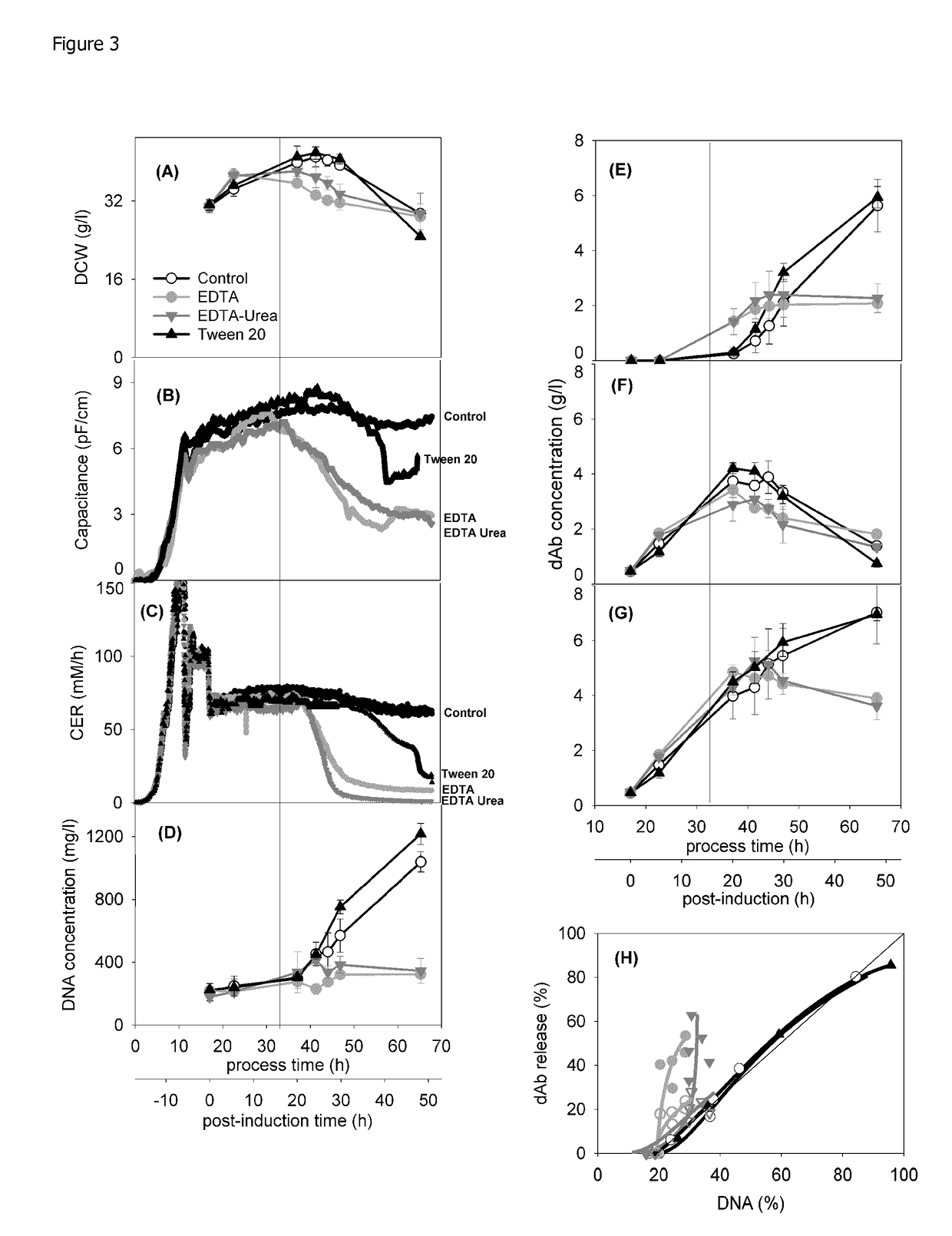 Method of Producing a Recombinant Protein