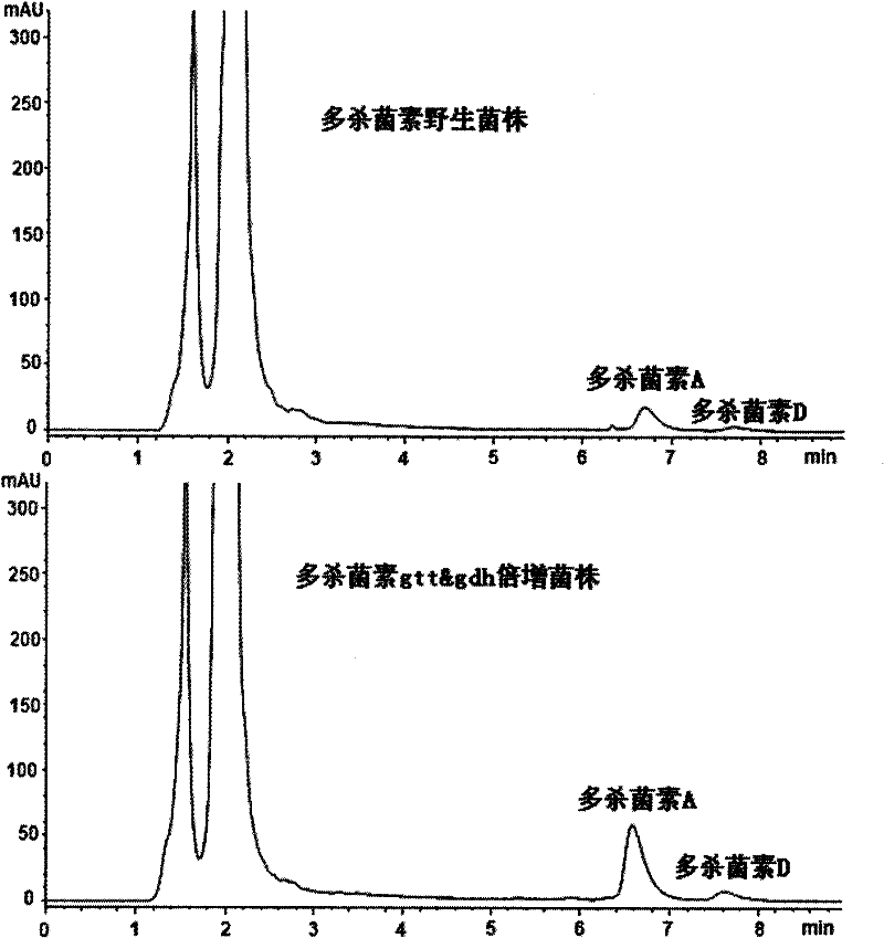 Gene engineering bacteria capable of highly producing pleocidin and preparation method thereof