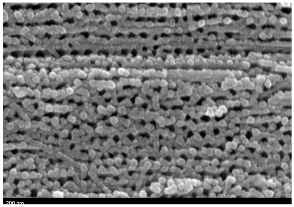 Preparation method of biological piezoelectric coating on surface of titanium-based material