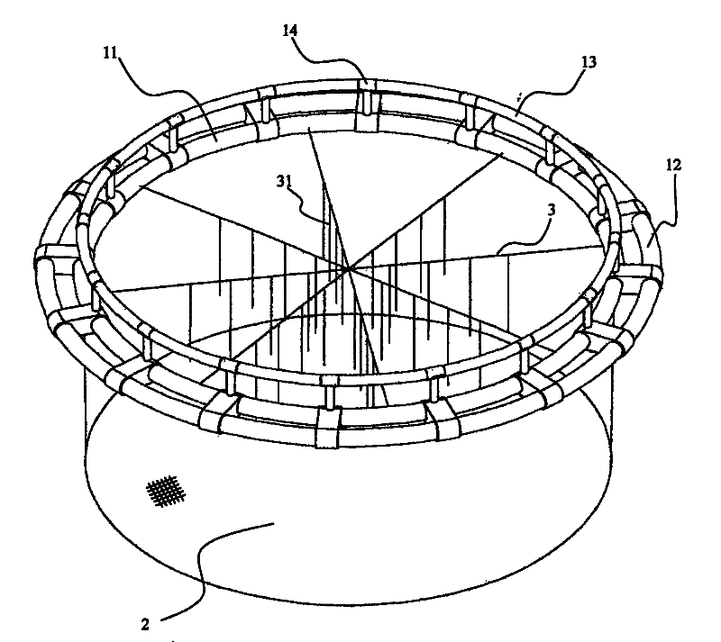 Sepiella maindroni cage culturing method and special cage device thereof