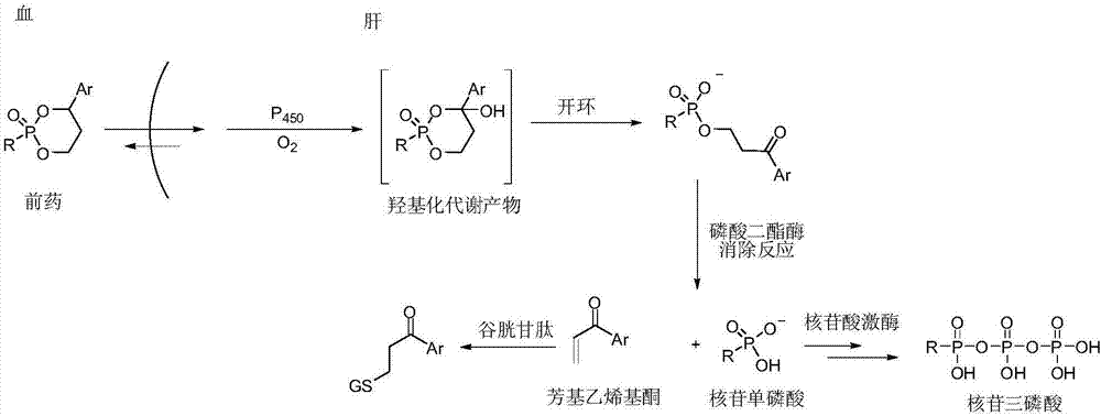 Liver specific delivery-based antiviral prodrug nucleoside cyclophosphate compound and use thereof