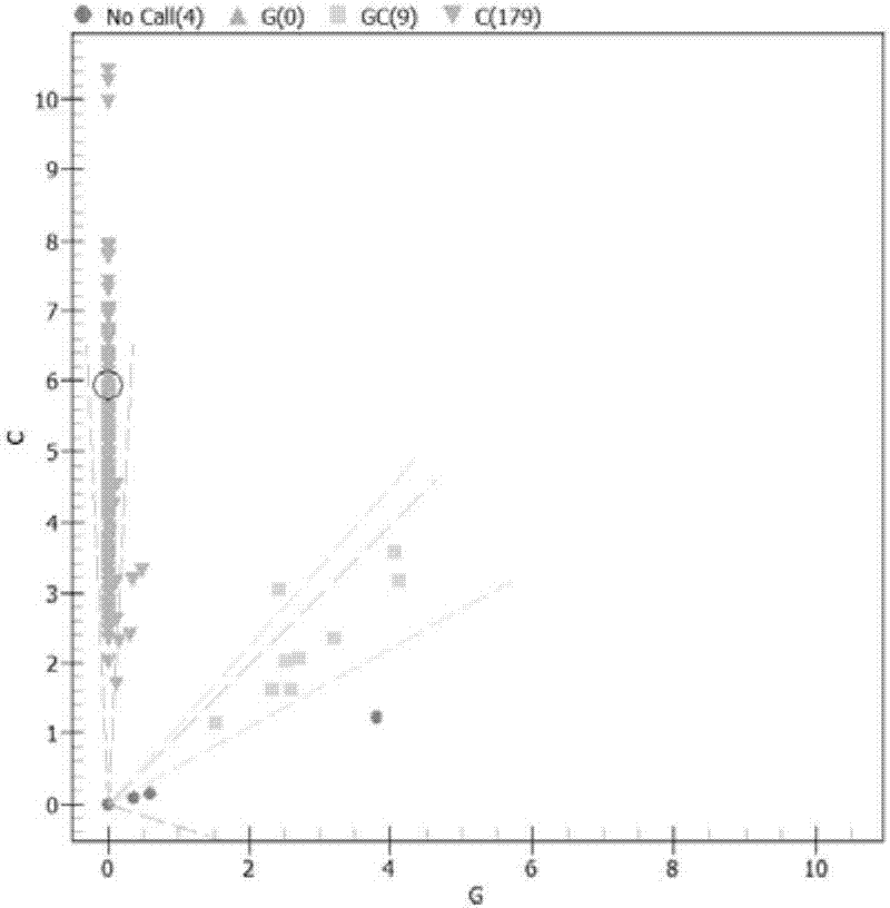 A method and special-purpose primers used for detecting aspirin and nitroglycerin accurate administration