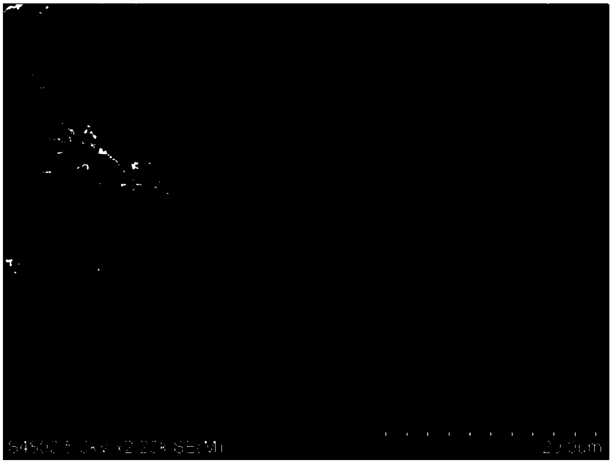 Preparation method of trimesic acid complex/titanium dioxide composite photoanode