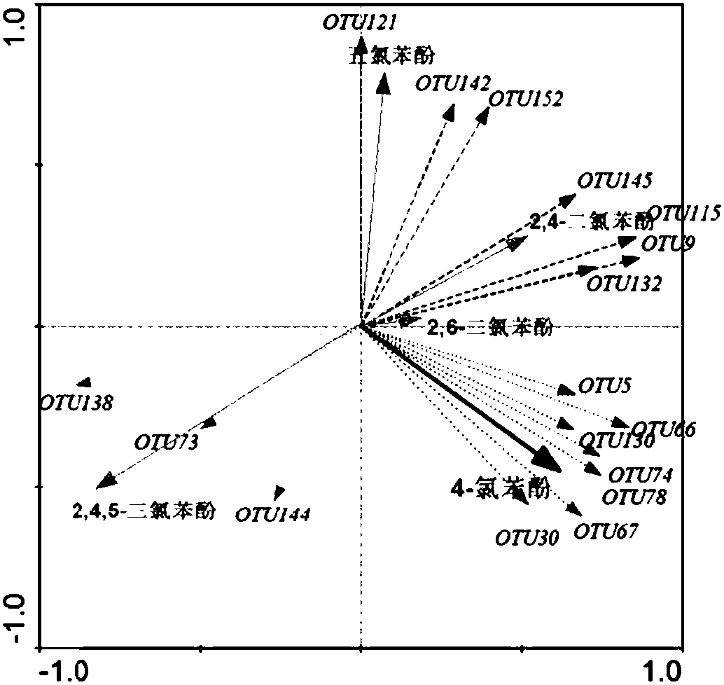 Regulation and control method for promoting directional degradation of organic pollutants through compost humus reducing bacteria