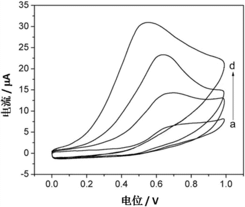 Biosensor based on platinum/silicon carbide nano material and application thereof