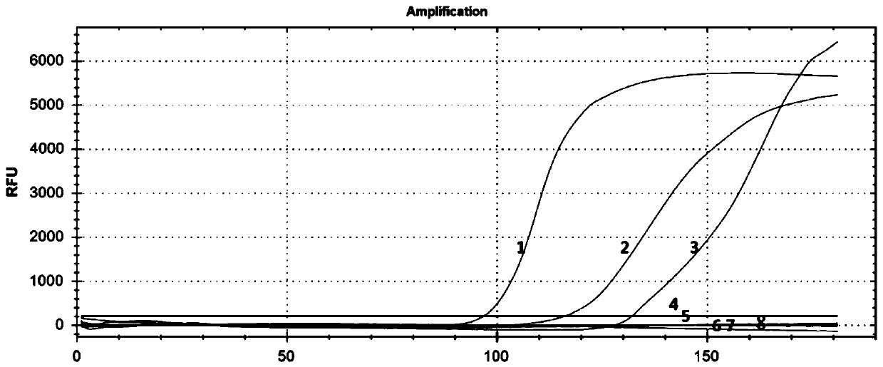 Primer group capable of simultaneously detecting paragonimus westermani, paragonimus skriabini and paragonimus heterotremus and kit