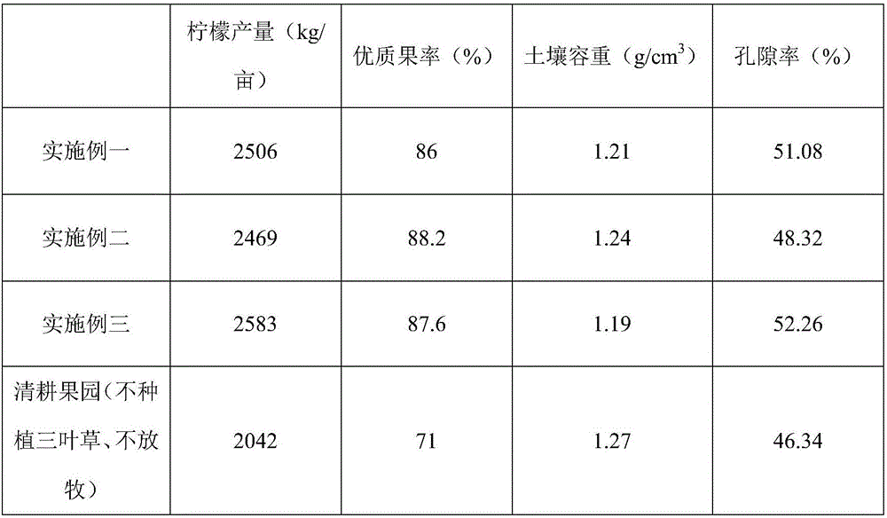 Ecological planting and breeding method for lemon garden