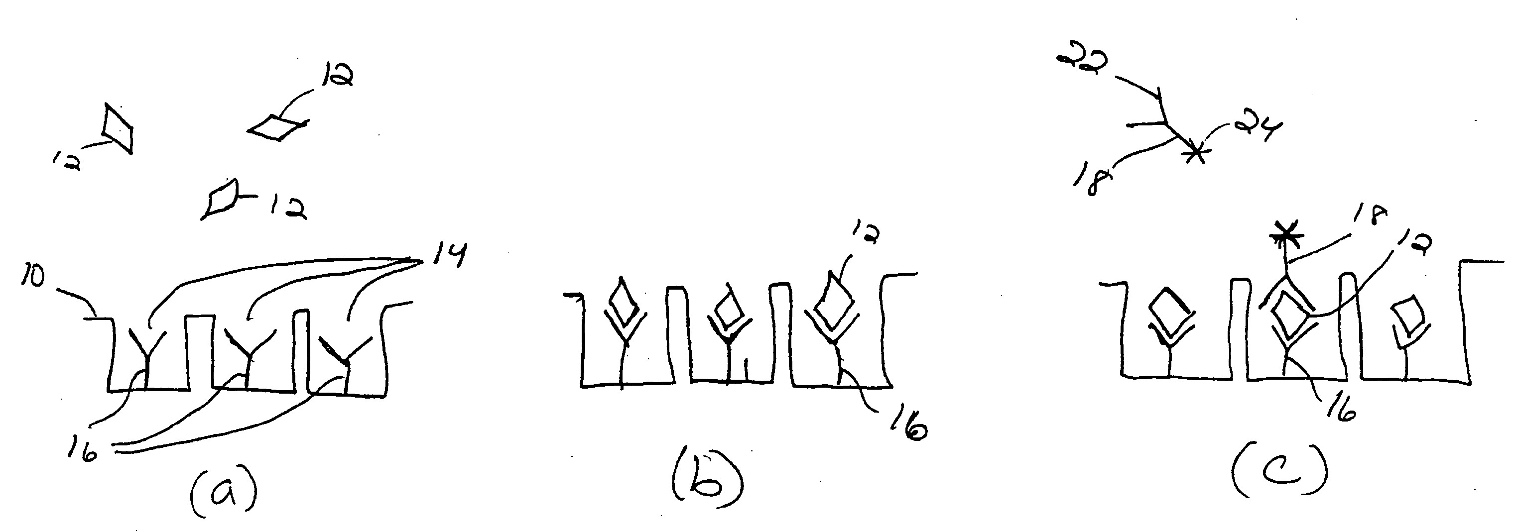 Methods and arrays for target analyte detection and determination of target analyte concentration in solution