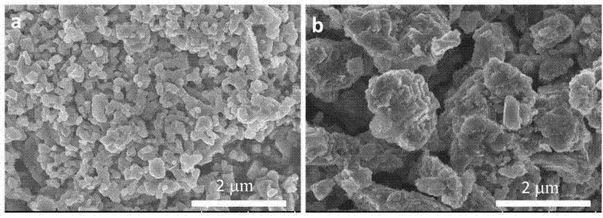 Negative electrode material of lithium ion battery and preparation method of negative electrode material, and lithium ion battery