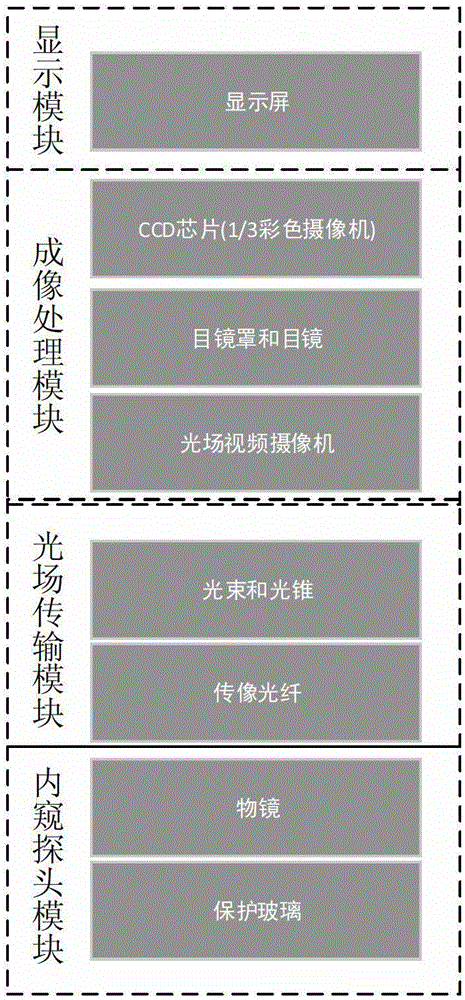 A light field video camera endoscopic method