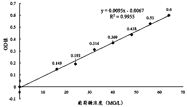 Process for producing exopolysaccharides by fermentation of immobilized lactobacillus plantarum