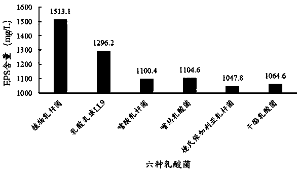 Process for producing exopolysaccharides by fermentation of immobilized lactobacillus plantarum