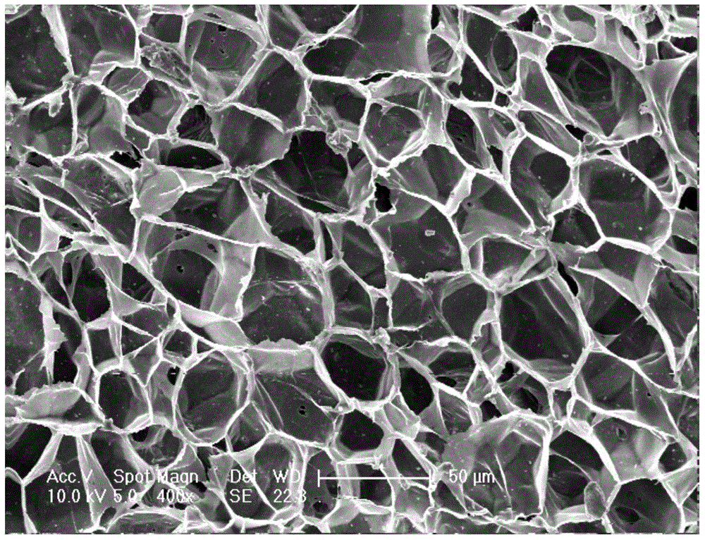 Carbon dioxide-epoxypropane copolymer foam plastic and preparation method thereof