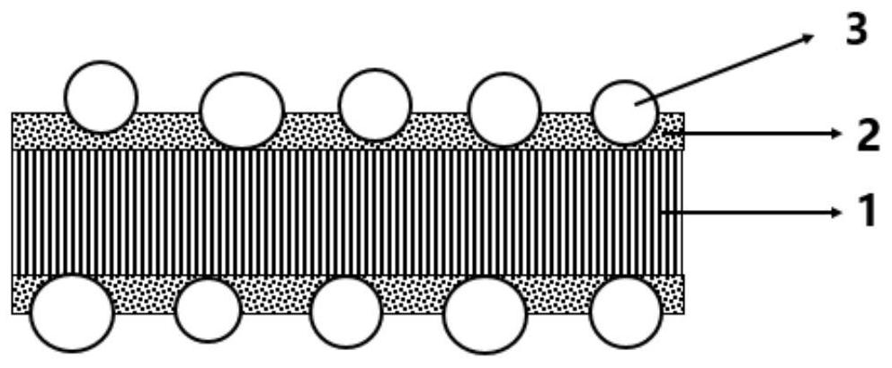 Lithium ion battery diaphragm with high heat resistance and high adhesion and preparation method thereof