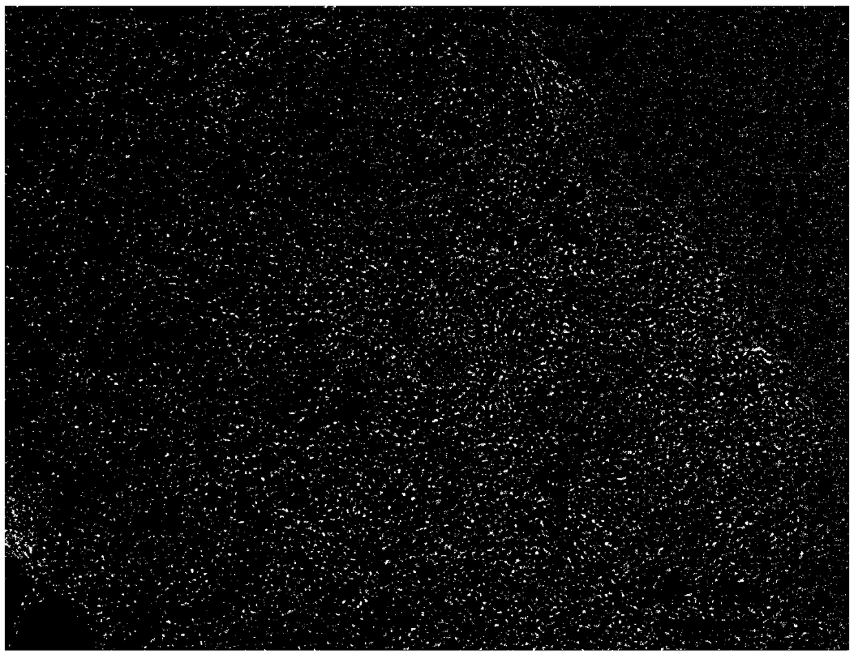 Nitrogen-doped porous vertical graphene nanowall array and its preparation method and application