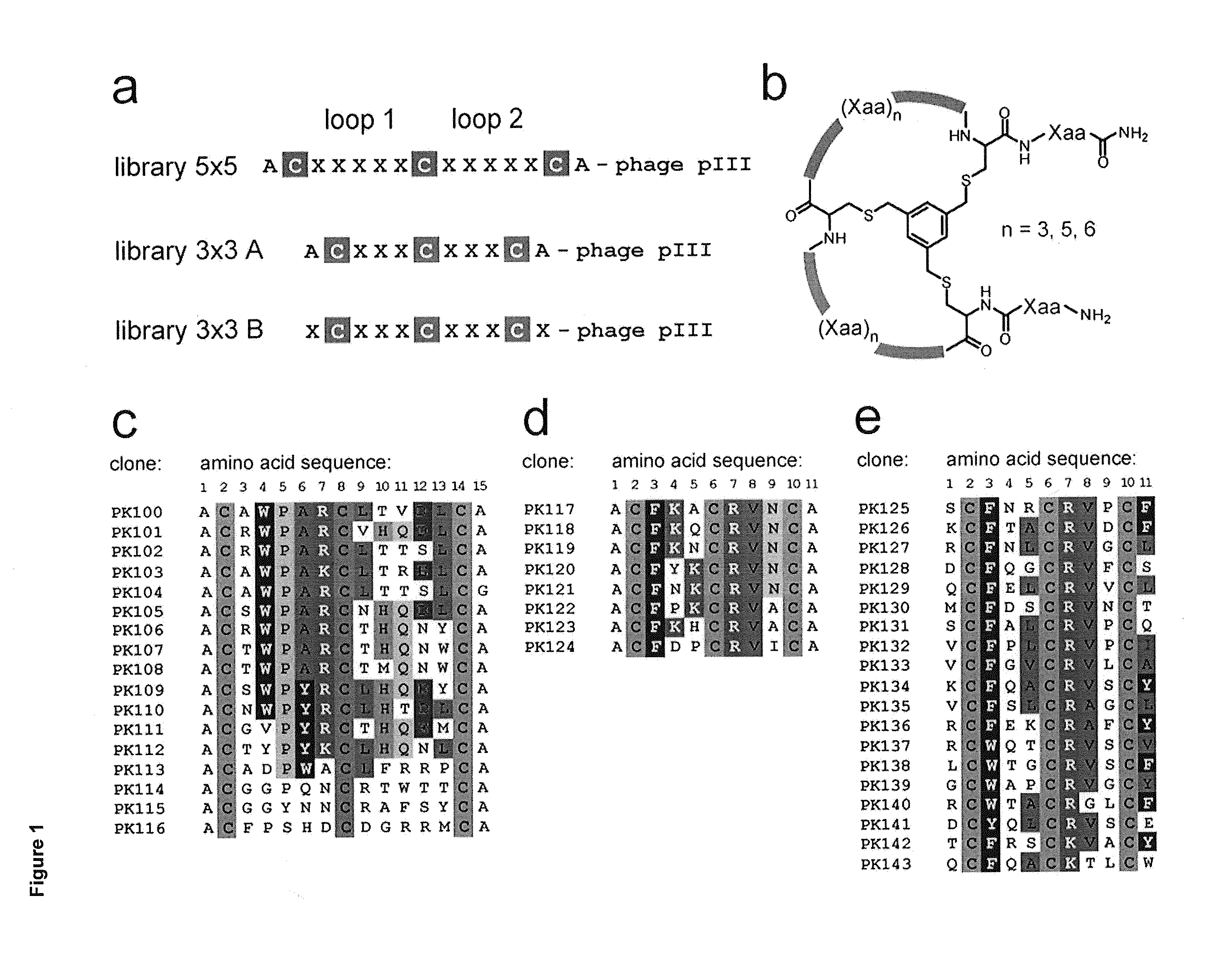 Modulation of structured polypeptide specificity